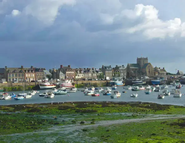 Monte Escalier 50 Installateur Monte Escalier Barfleur